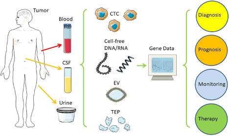 Cell-free DNA